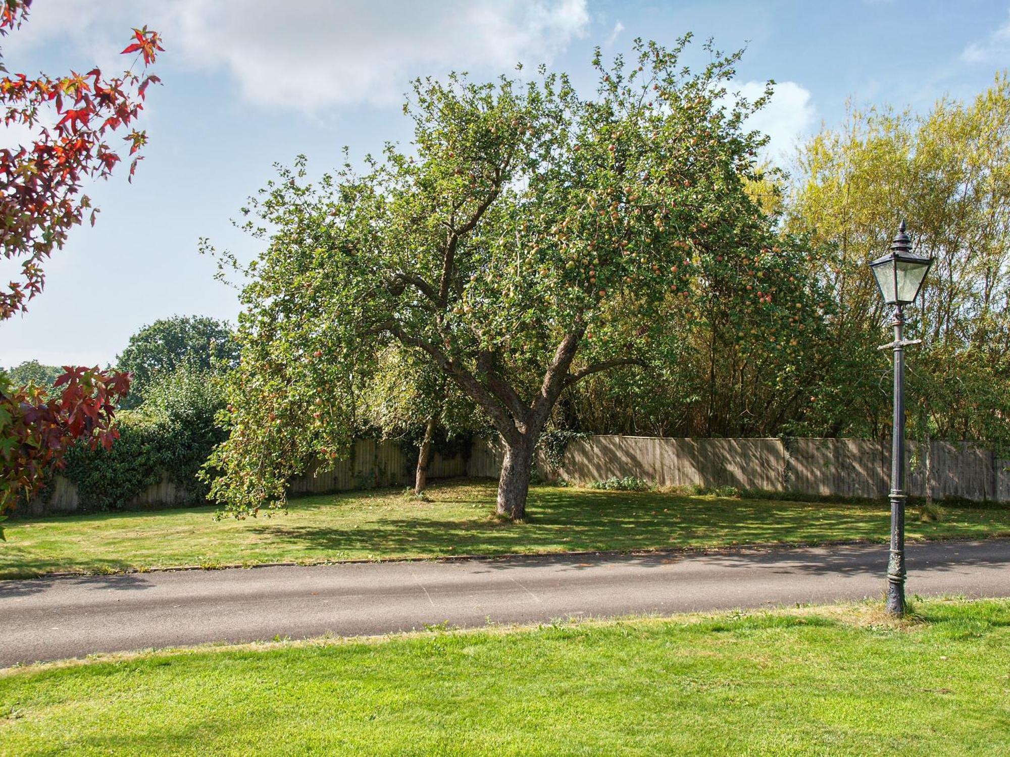 Orchard View Villa Minsterley Exterior photo